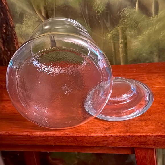 Vintage  🪿🪿 Glass Jar with Geese Design - Picture 2 of 5